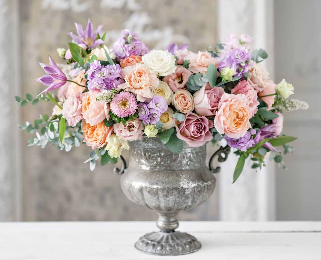 The Garden That Spoke in Color